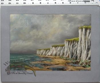 Cliffs at Beachy Head